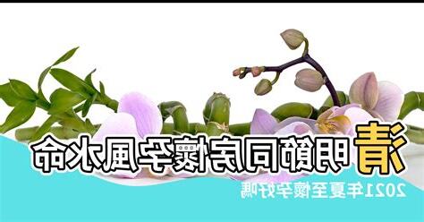 懷孕 風水